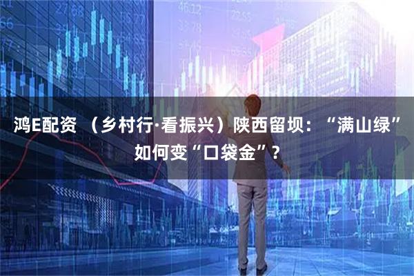 鸿E配资 （乡村行·看振兴）陕西留坝：“满山绿”如何变“口袋金”？