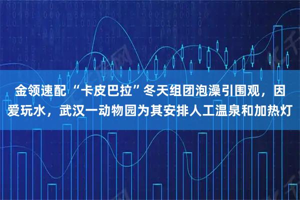 金领速配 “卡皮巴拉”冬天组团泡澡引围观,因爱玩水,武汉一动物园为其安排人工温泉和加热灯
