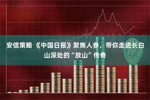 安信策略 《中国日报》聚焦人参，带你走进长白山深处的“放山”传奇
