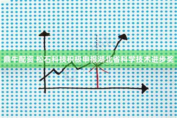 鼎牛配资 松石科技积极申报湖北省科学技术进步奖